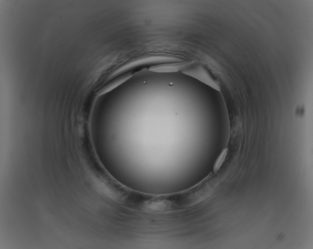 X0000092280452200709281249