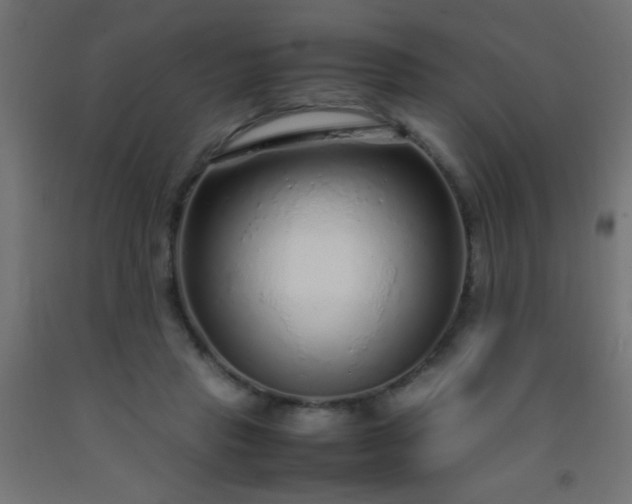 X0000092280453200709281249