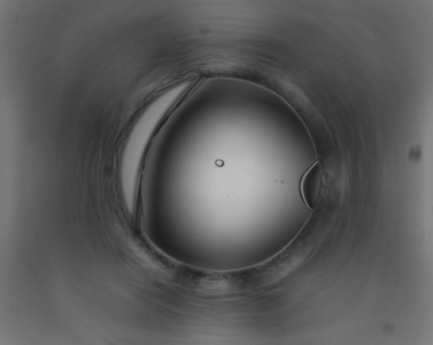 X0000092280454200709281249