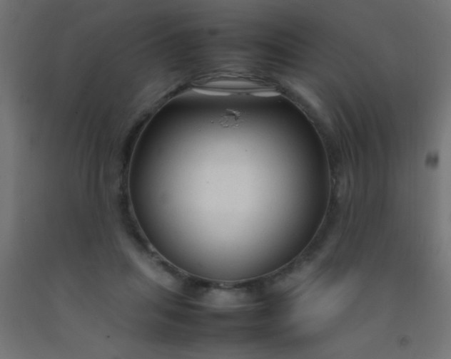 X0000092280455200709281249