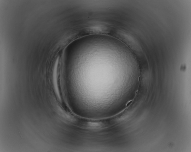 X0000092280457200709281249