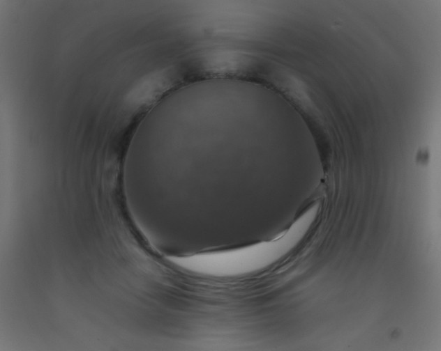 X0000092280458200709281249