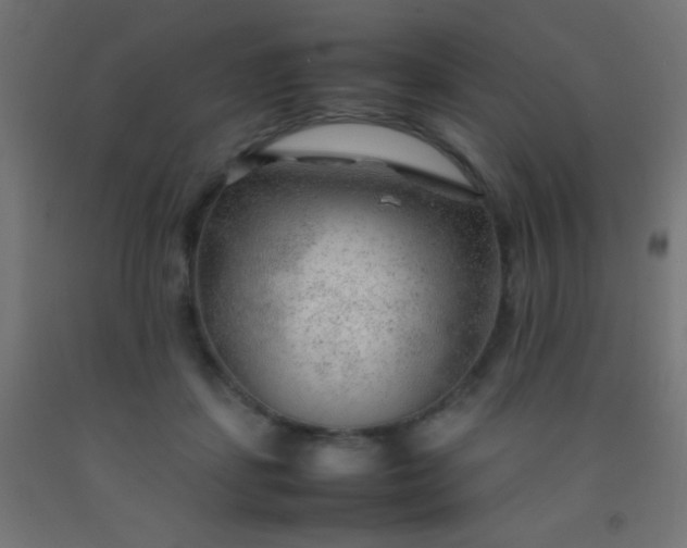 X0000092280459200709281249