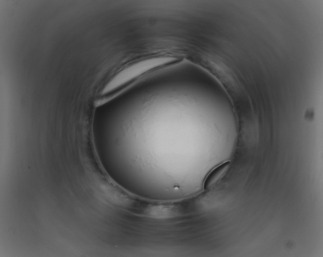 X0000092280461200709281249