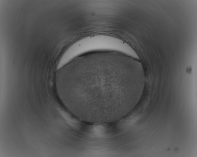 X0000092280462200709281249