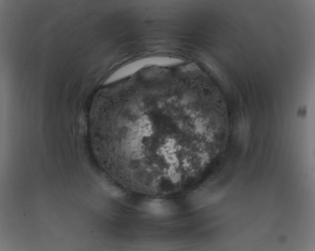 X0000092280467200709281249