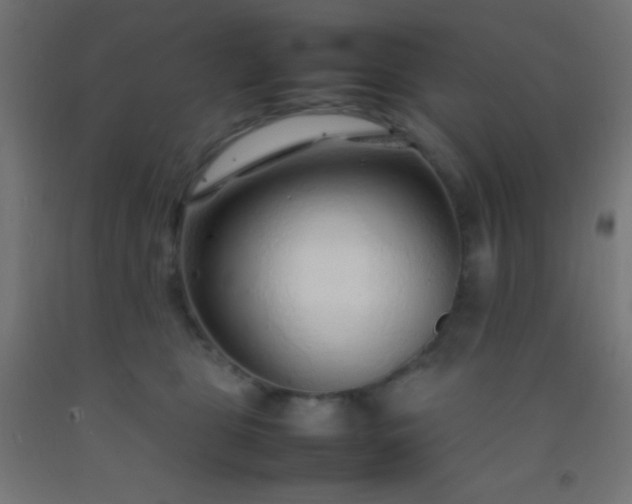 X0000092280469200709281249