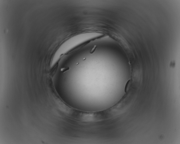 X0000092280473200709281249