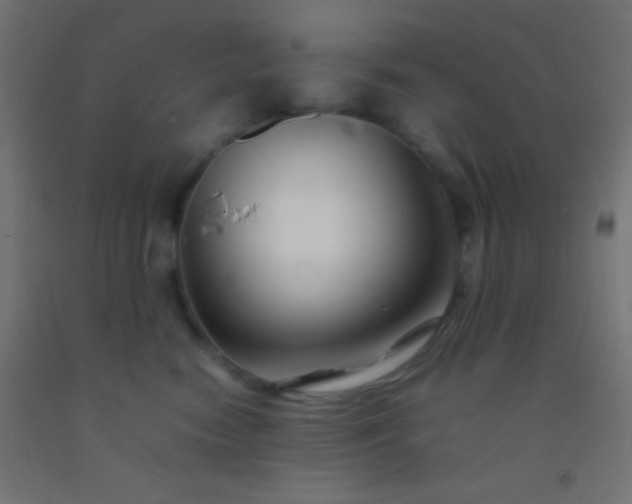 X0000092280474200709281249