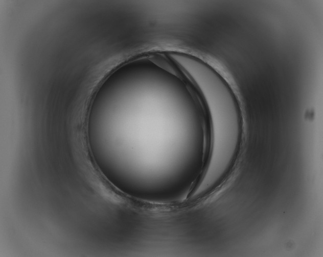 X0000092280481200709281248