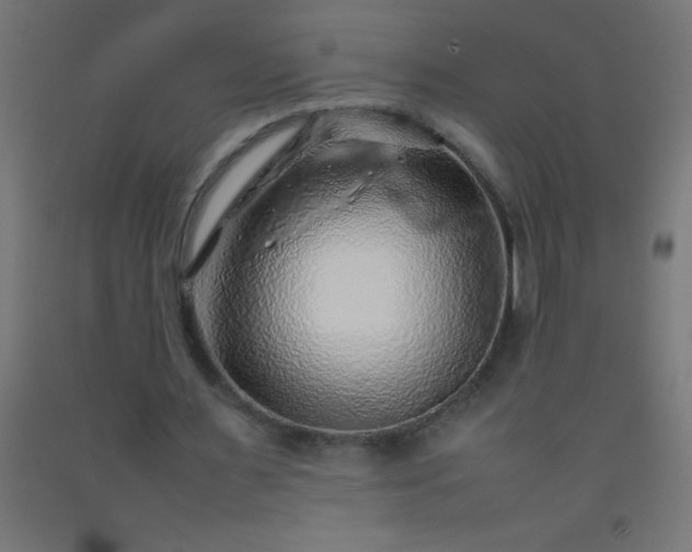 X0000092280483200709281248