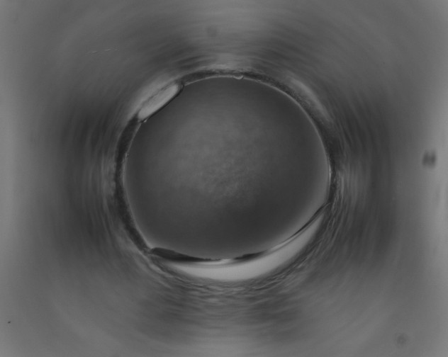 X0000092280484200709281248