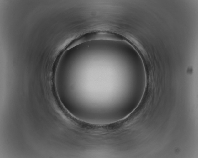 X0000092280485200709281248