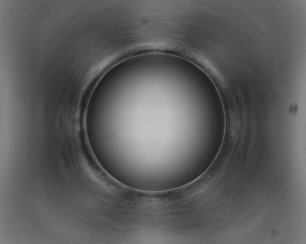 X0000092280486200709281248