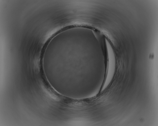 X0000092280488200709281248