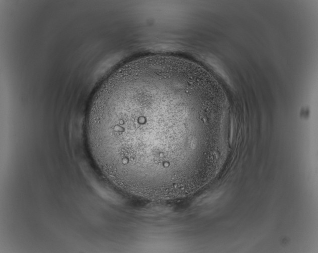 X0000092280491200709281248