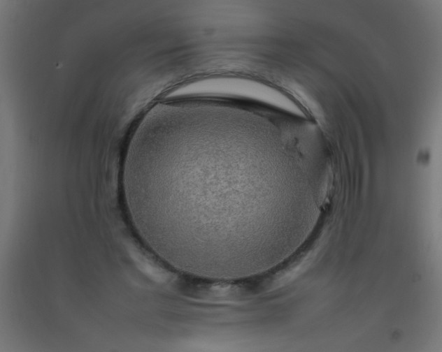 X0000092280493200709281248