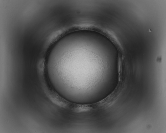 X0000092280495200709281248