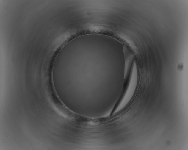 X0000092280496200709281248