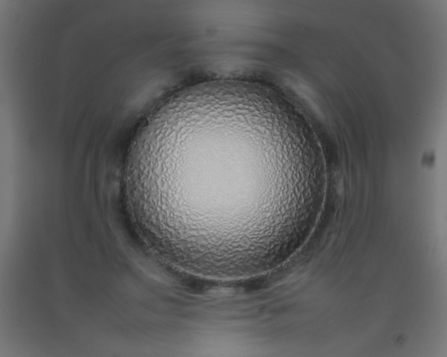 X0000092280499200709281248