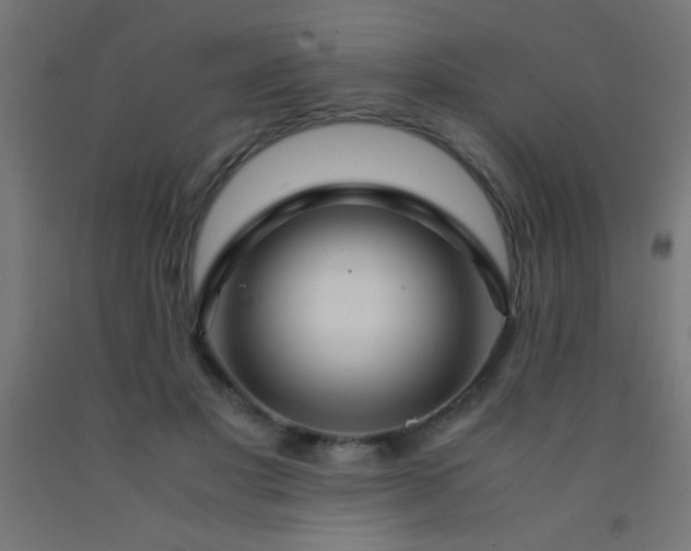 X0000092280501200709281248