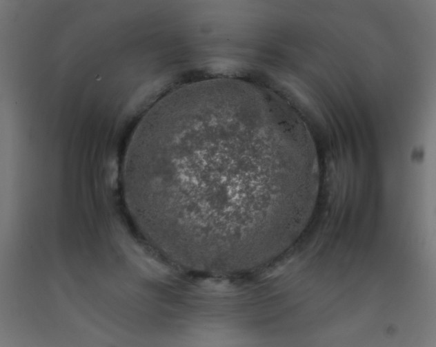 X0000092280502200709281248