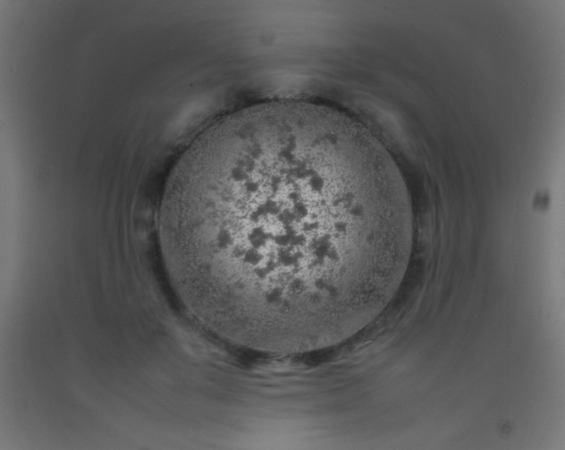 X0000092280503200709281248