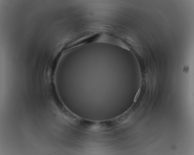 X0000092280504200709281248