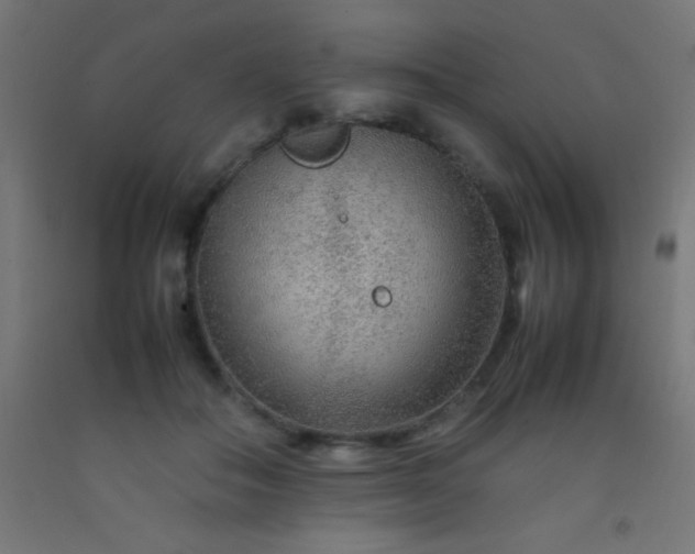 X0000092280506200709281248