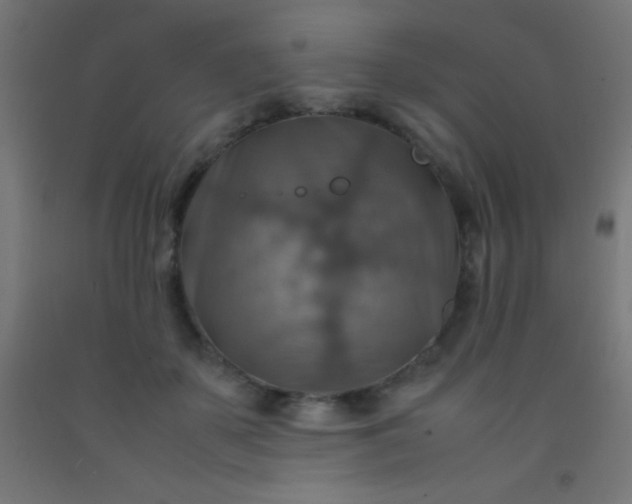 X0000092280507200709281248