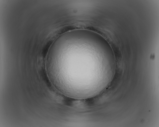 X0000092280511200709281248