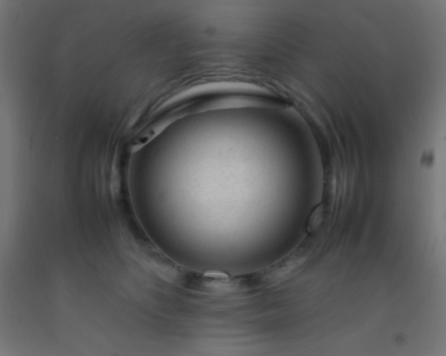 X0000092280516200709281248