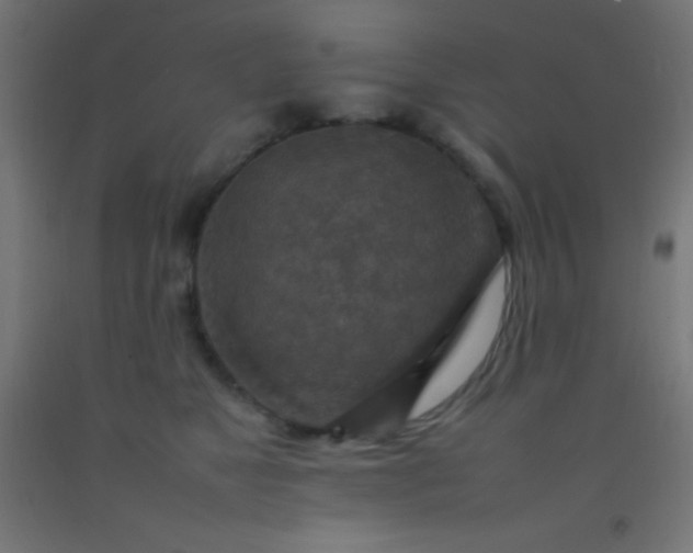 X0000092280517200709281248