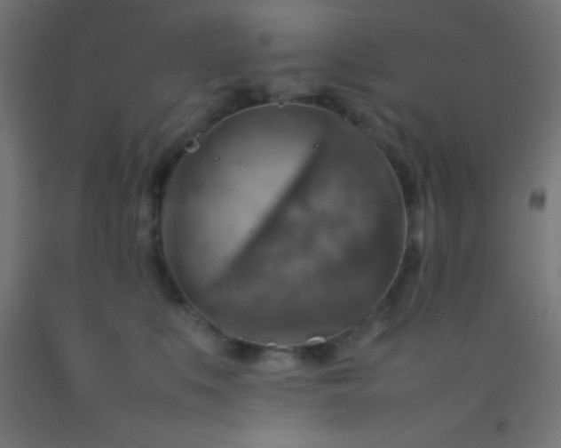 X0000092280519200709281248