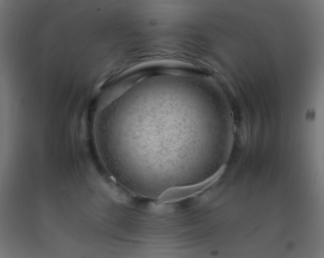 X0000092280520200709281248