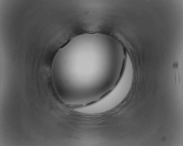 X0000092280521200709281248