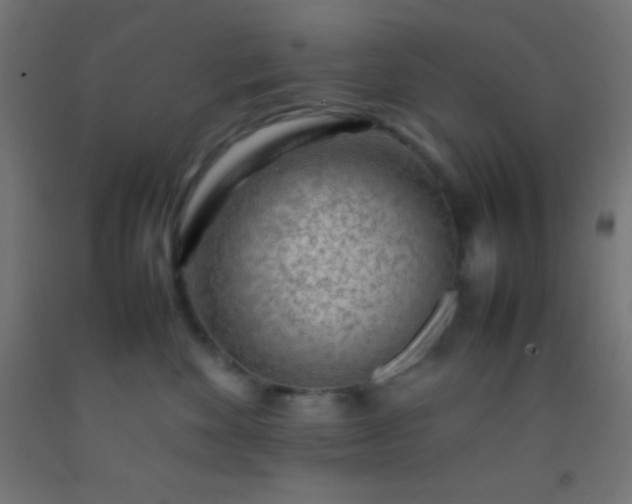 X0000092280524200709281248