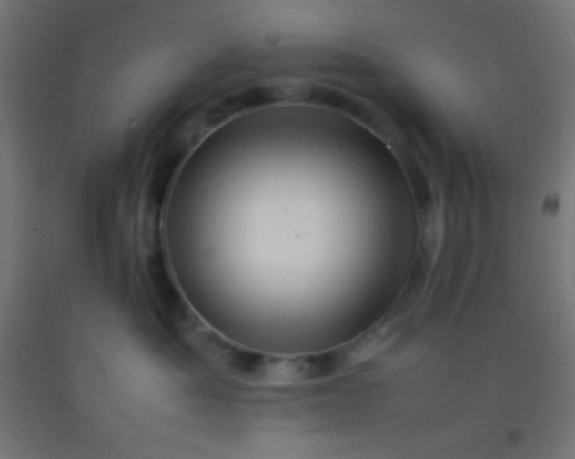 X0000092280525200709281248