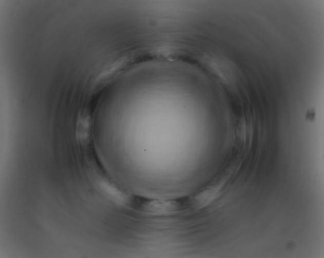 X0000092280526200709281248