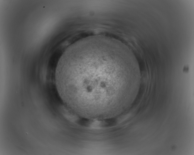 X0000092280527200709281248