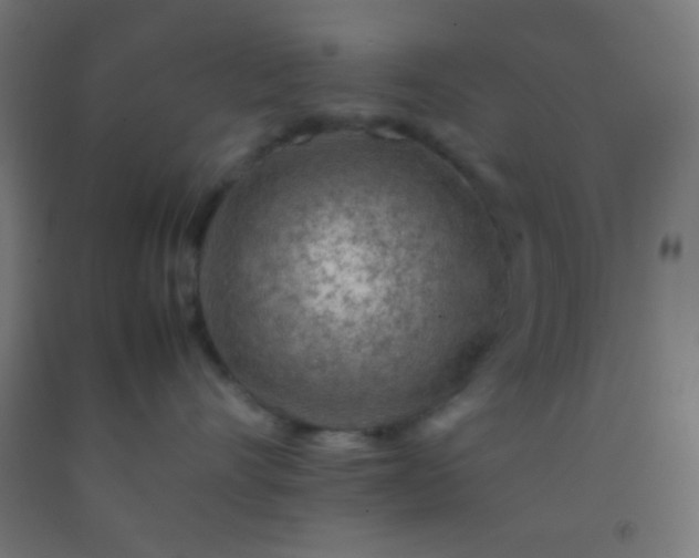 X0000092280528200709281248