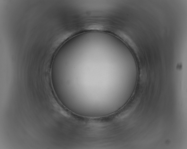 X0000092280529200709281247