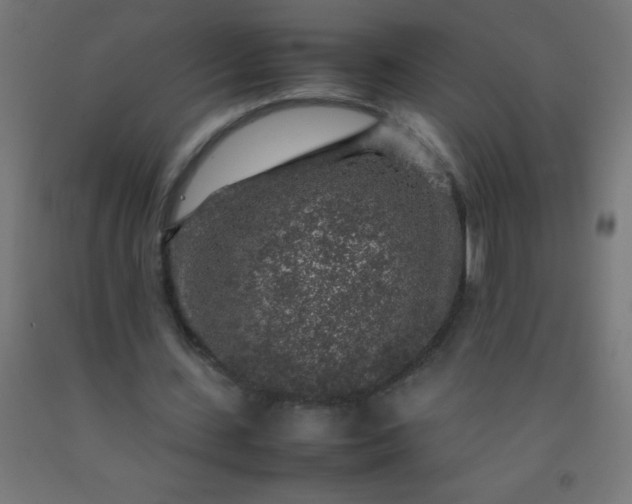 X0000092280531200709281247