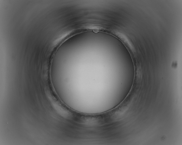 X0000092280533200709281247