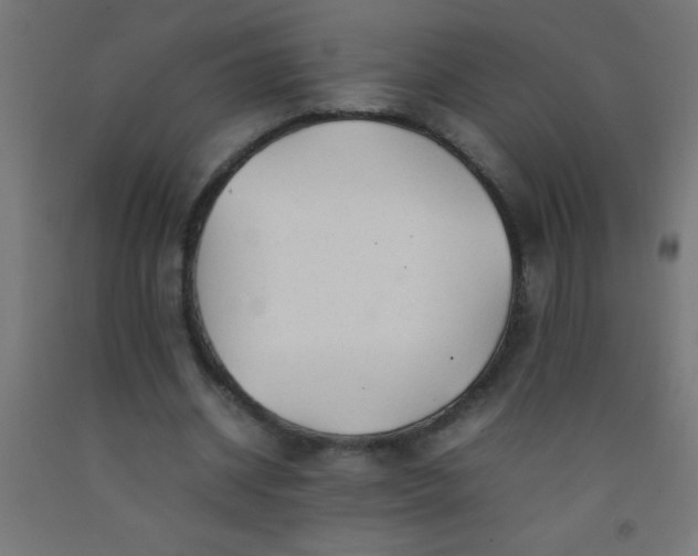 X0000092280534200709281247