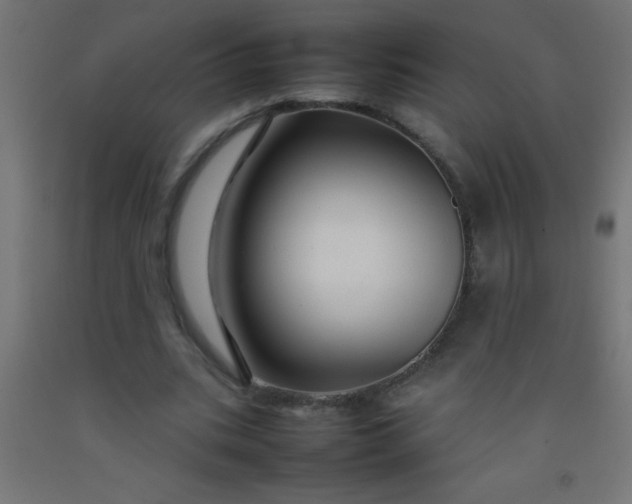 X0000092280535200709281247