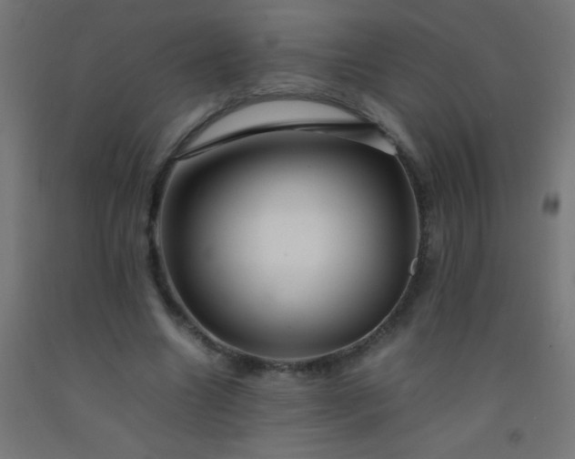 X0000092280538200709281247