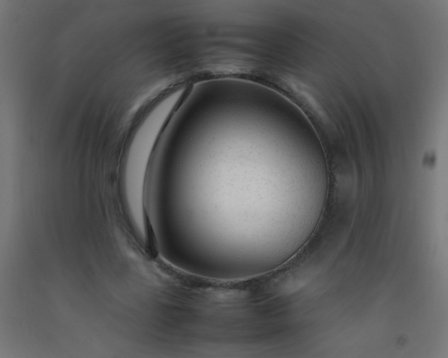 X0000092280539200709281247