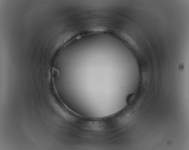 X0000092280541200709281247