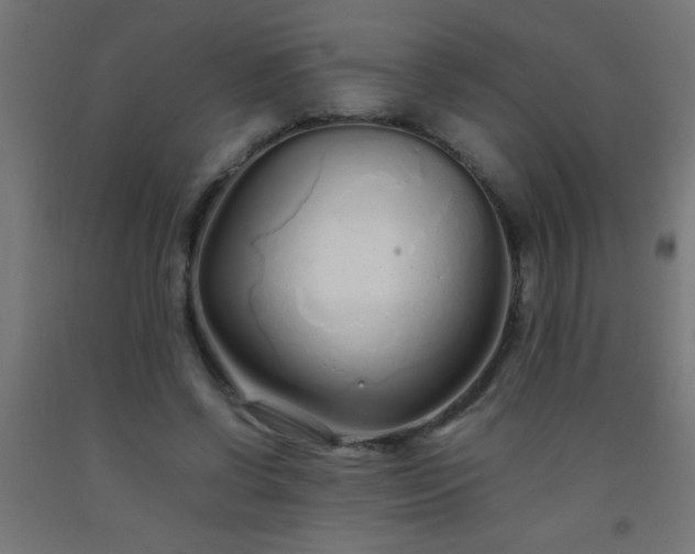 X0000092280542200709281247